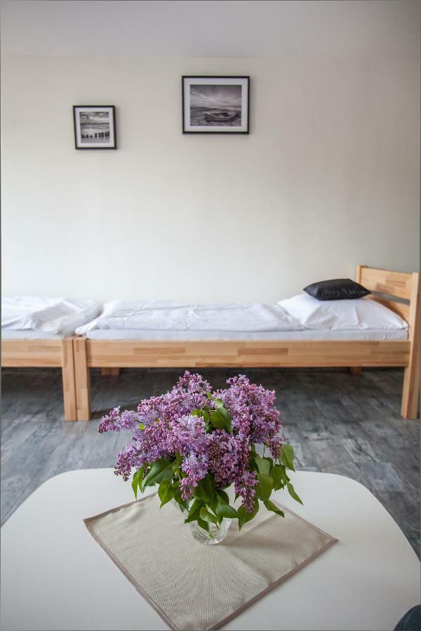 Ubytovani Rozmberk Nad Vltavou 18 Buitenkant foto